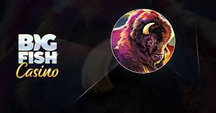 Big fish casino apk